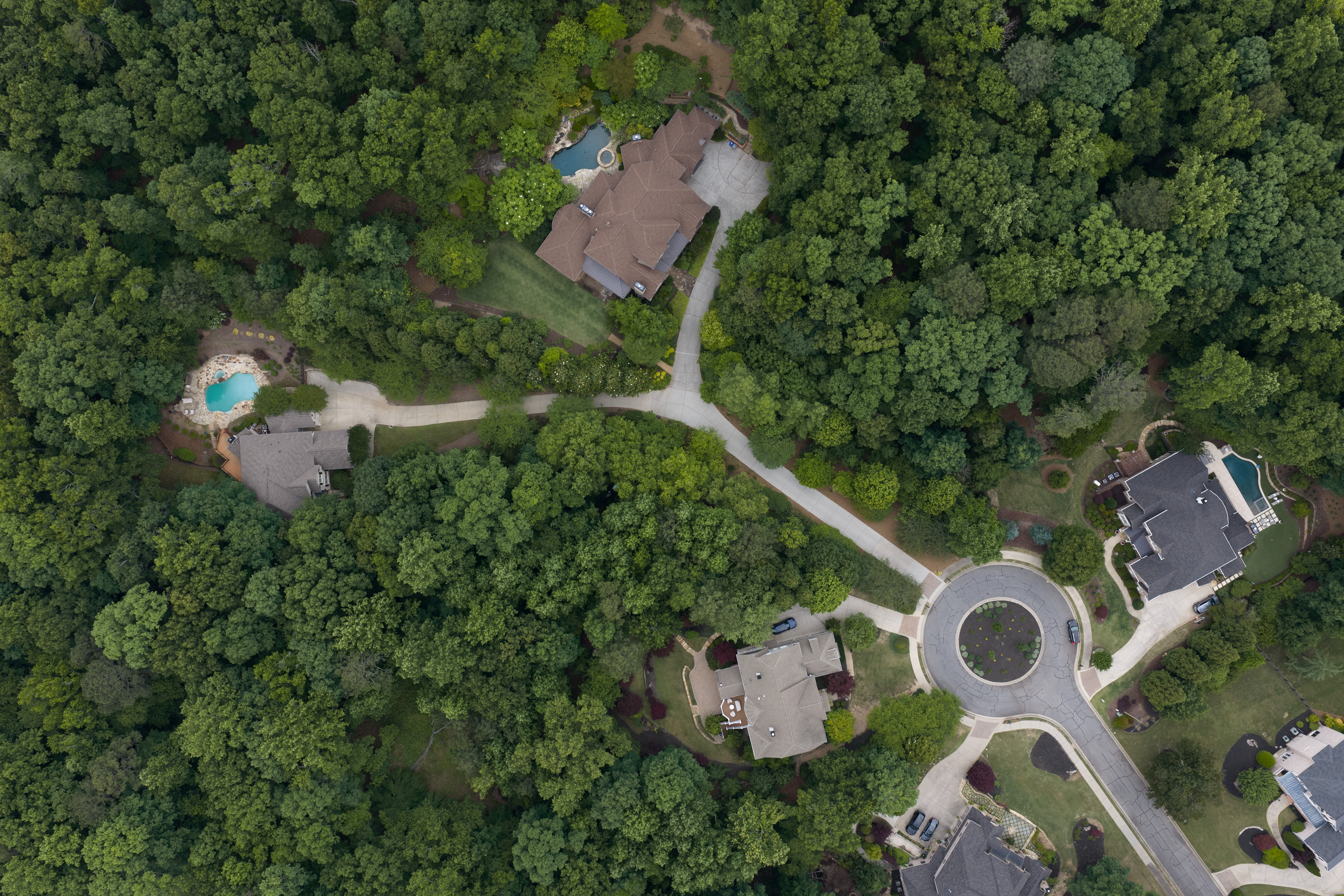 Neighbourhood context — private estate lots each held within their own canopy